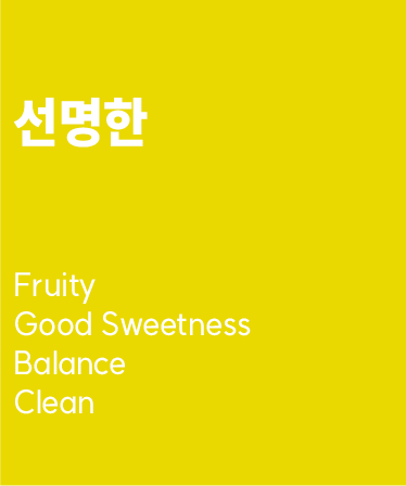 블랜드 원두커피 100g - 선명한 : 센티드 커피 로스터스