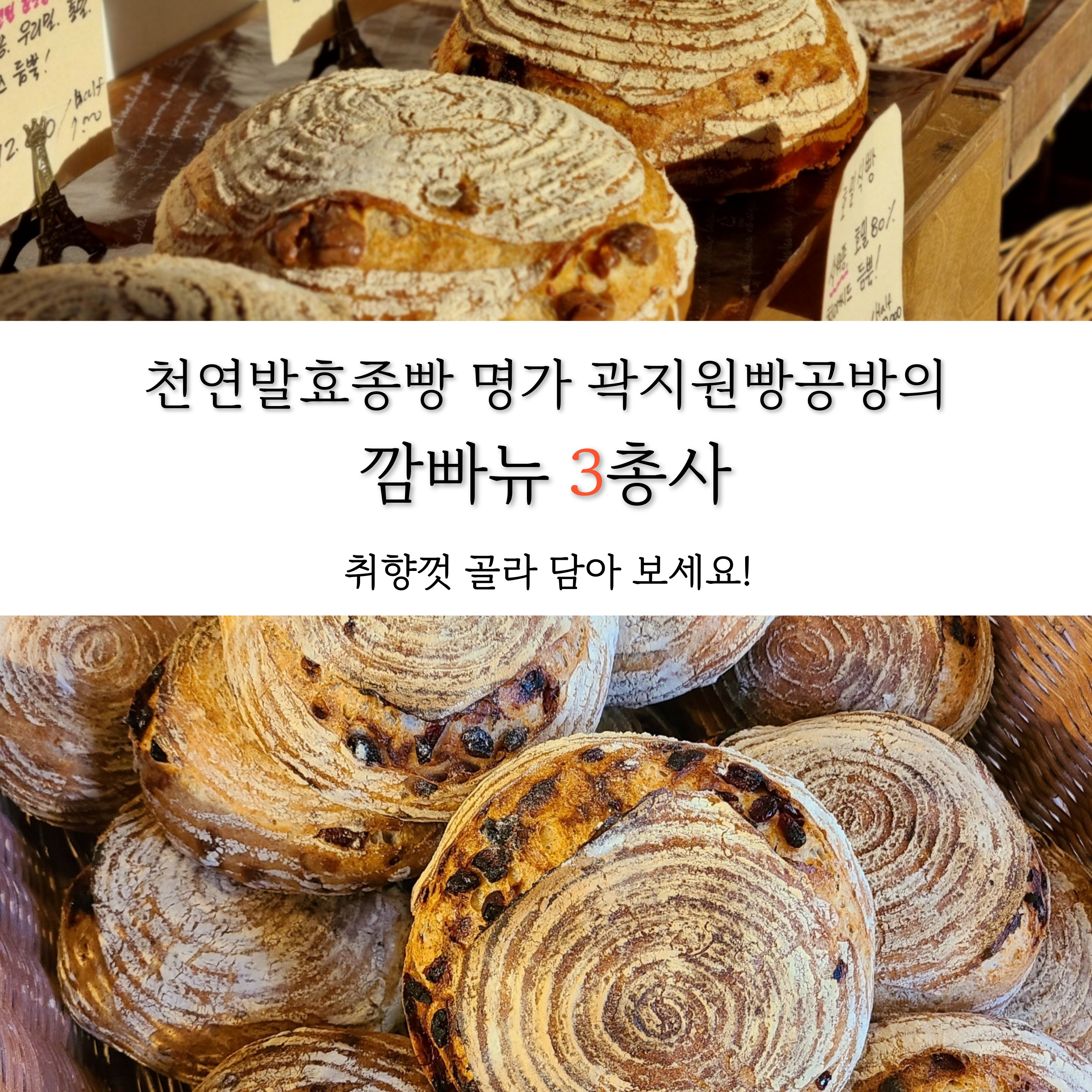 천연발효종 깜빠뉴 3총사 : 곽지원빵공방