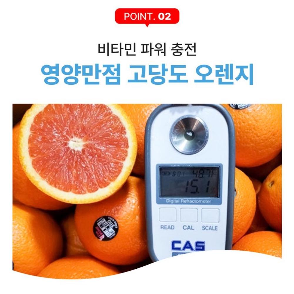 고당도 비타민 카라카라 오렌지 1.9kg내외 10과 중과 : 쇼핑1스푼