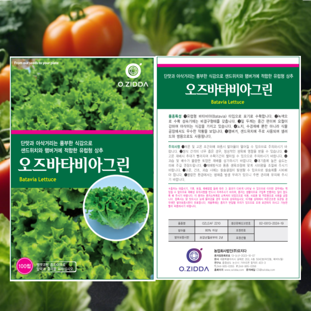 유럽상추 씨앗 5종 세트 각 100립,버터헤드 바타비아레드 그린 미니로메인 쌈채 : 태웅씨앗자재마트