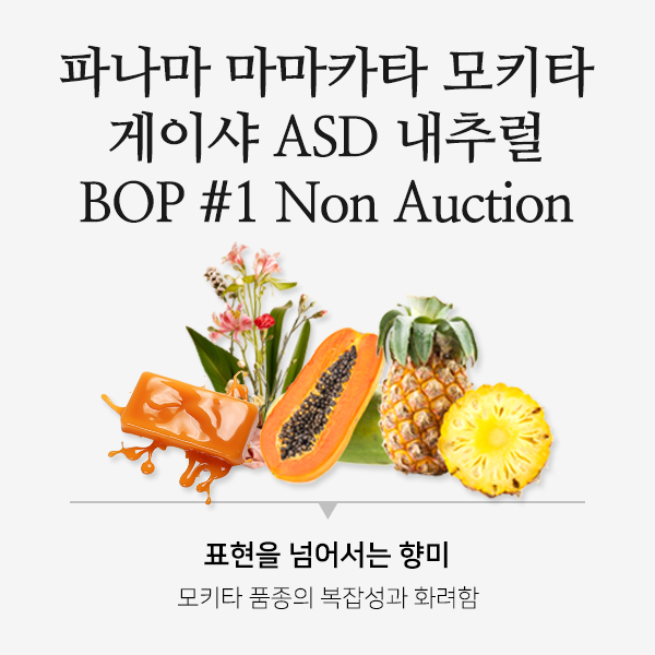 파나마 마마카타 모키다 게이샤 ASD 내추럴 BOP 드립(굵게), 1kg, 1개 : 카페알트로