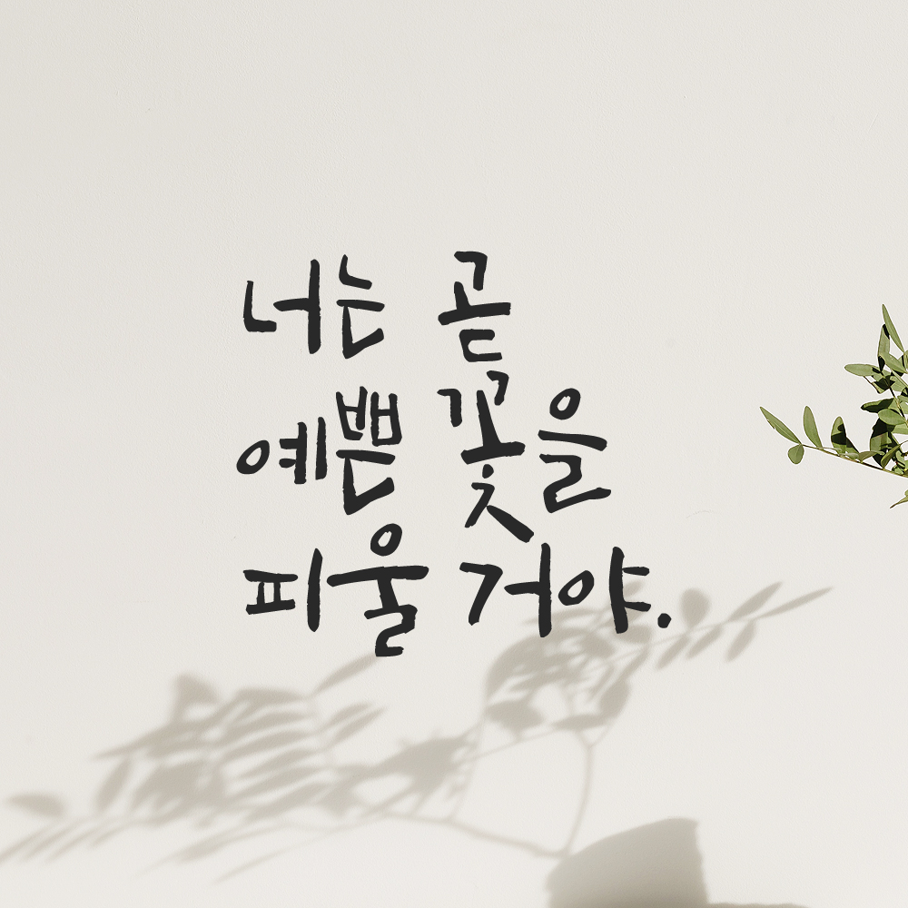 캘리그라피 레터링 스티커 너는 곧 예쁜 꽃을 피울 거야 검정 S : 모노먼트