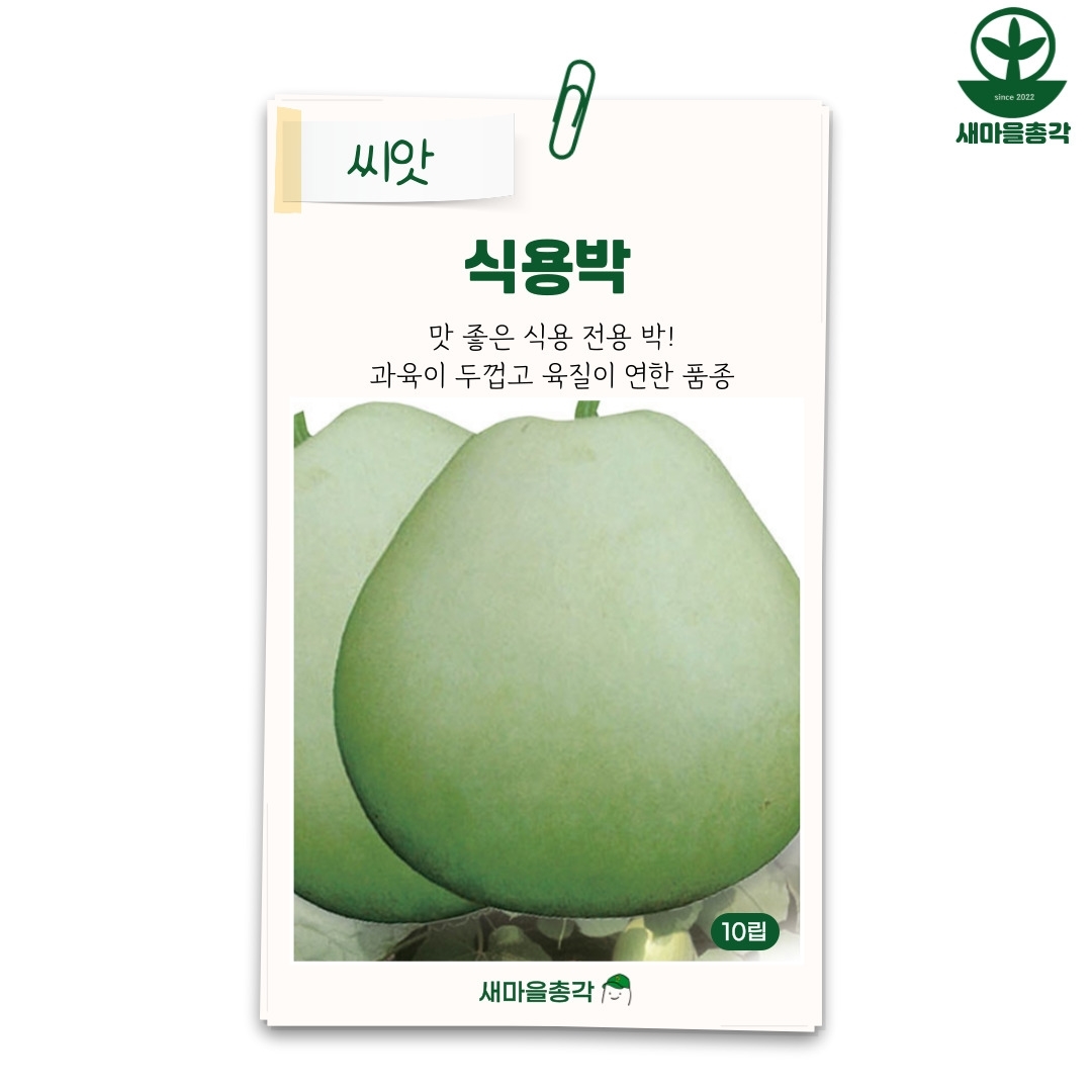 다농 식용박씨앗 10립 식용 박씨 종자 : 새마을총각