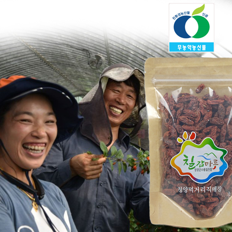 청양 태리농장 친환경 무농약 구기자 100g, 300g : 사자산마을