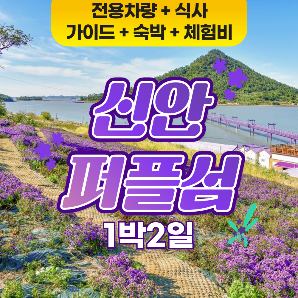 신안 퍼플섬과 섬티아고 트레킹 요트 투어 1박2일 버스여행 패키지 [리무진버스] : 승우여행사