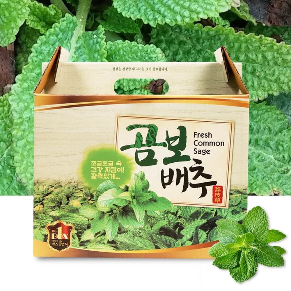 곰보배추 곰보배추즙 시럽 엑기스 변비 야채 국산건강 : 알정상점