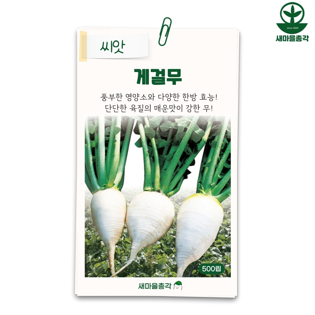 다농 게걸무씨앗 500립 여주 이천 토종 무우 씨 종자 : 새마을총각