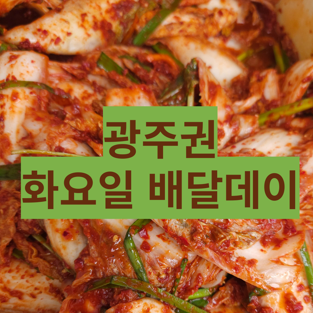 ★광주권 화요일  배달데이 주문★ / 매주 화요일 / 집밥 반찬 / 배추김치 : 광주 김치하우스