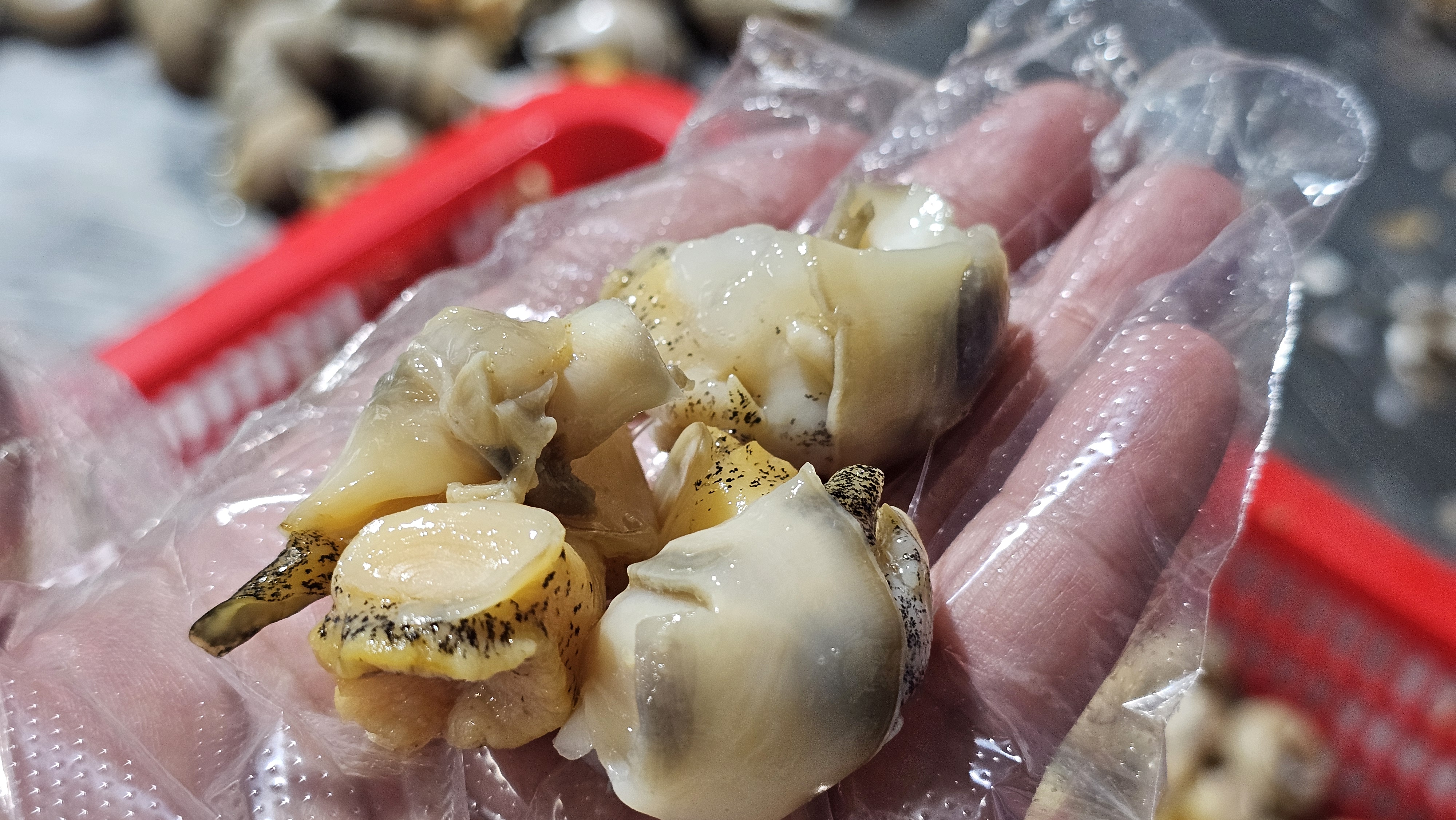 자연산 순살 백골뱅이 손질 후 자숙 급랭 원물 450g-500g내외 작업후 150g : 더좋은씨푸드