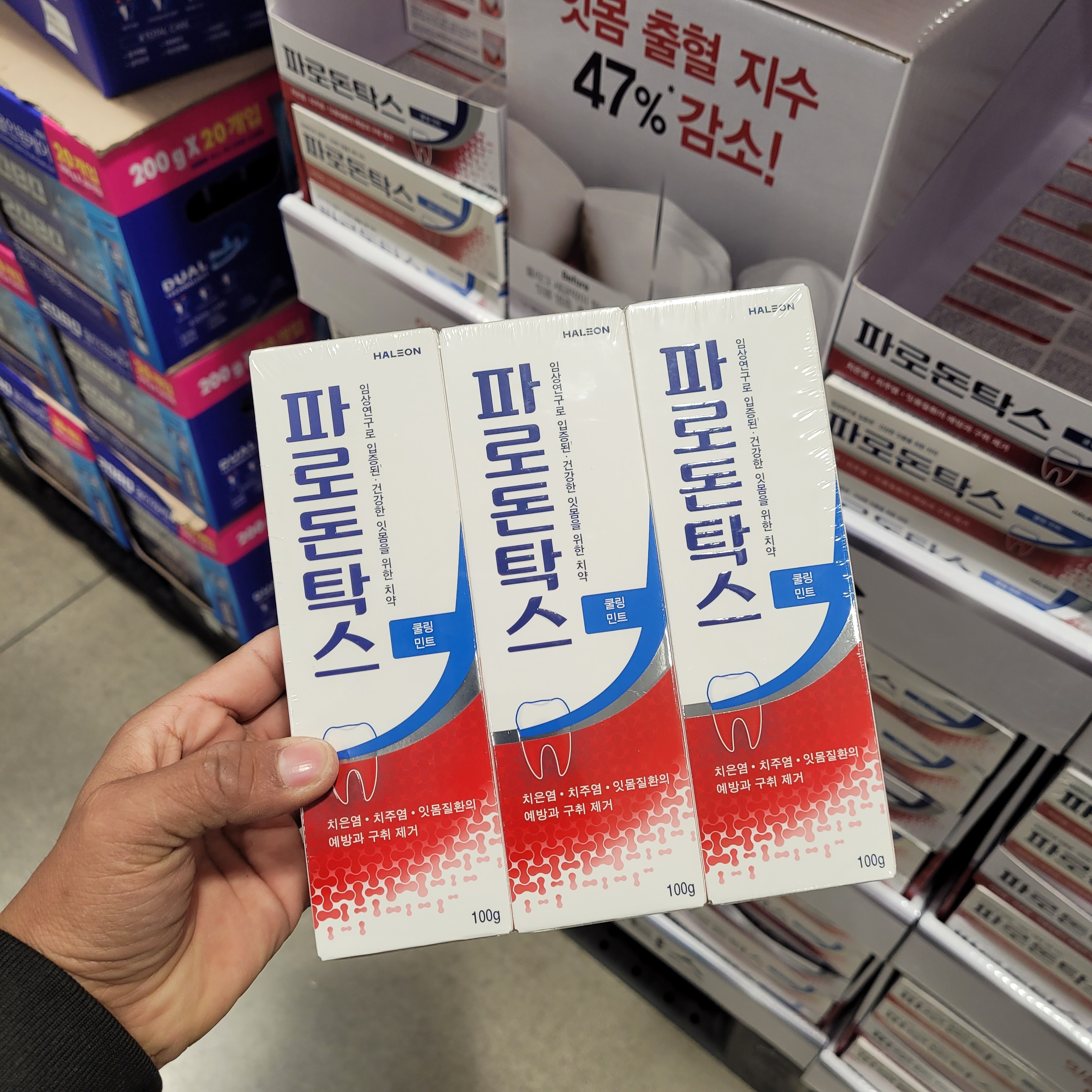 코스트코 프로돈탁스 쿨링 민트 치약 100g x 6개 상쾌 청량 양치 불소 충치 칫솔 : 코스트코-온라인몰