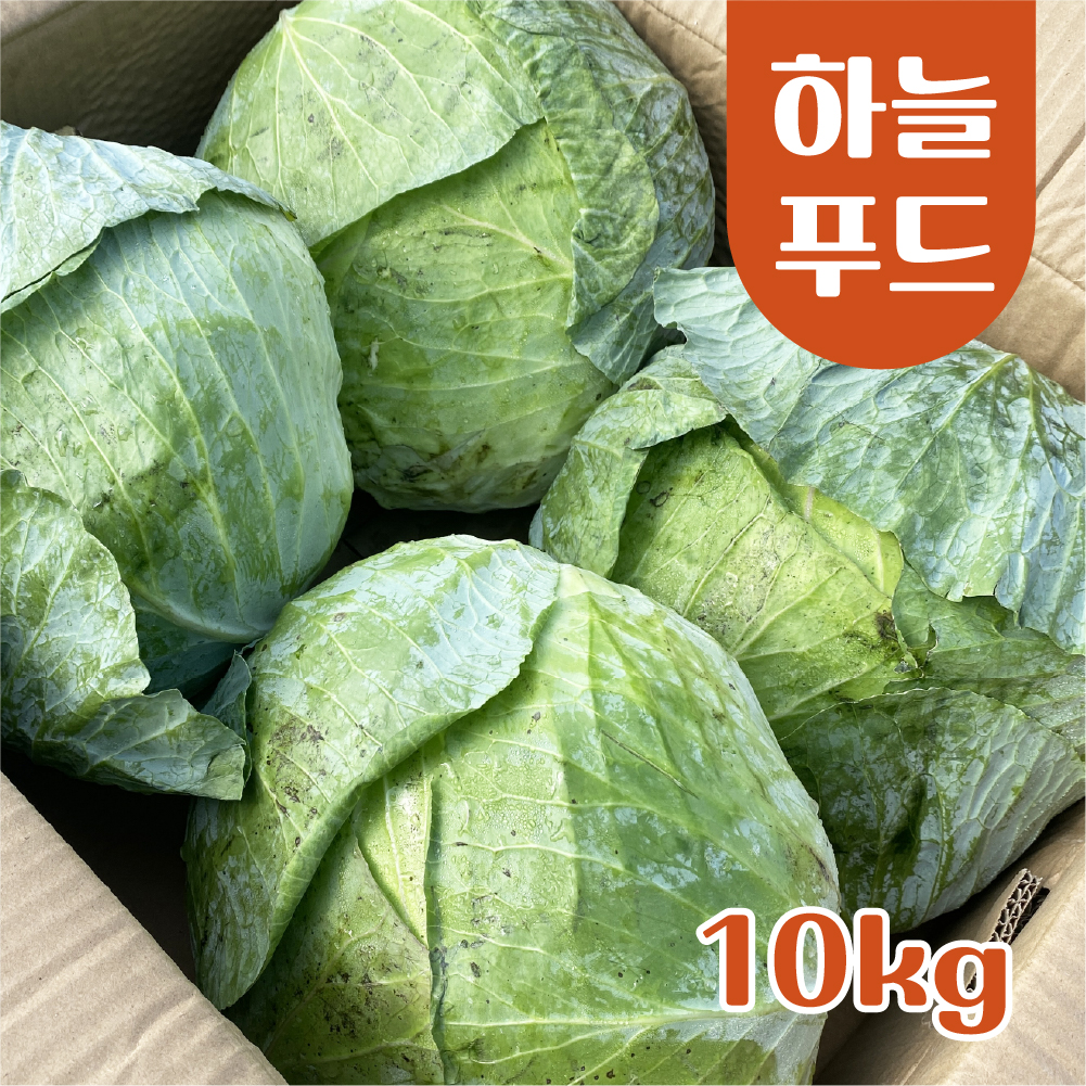 (10kg/Box) 수입 양배추 식자재 : 하늘푸드