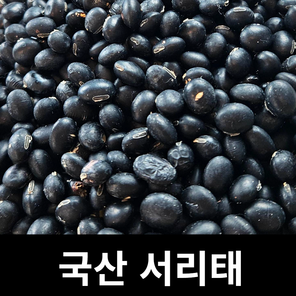 아람뜰 신선 개별포장 국산 프리미엄 서리태 검은콩100g : 아람뜰