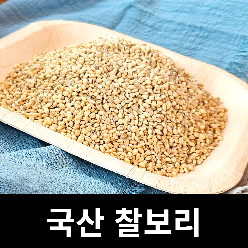 아람뜰 신선 개별포장 국산 잡곡 고품질 프리미엄 찰보리 120g : 아람뜰