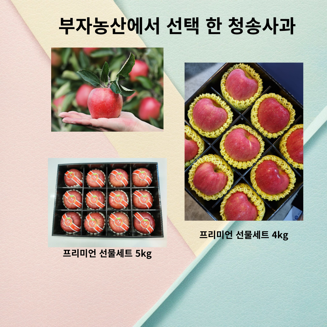 청송 시나노골드 황금사과 꿀부사 선물세트 3kg 5kg : 부자농산