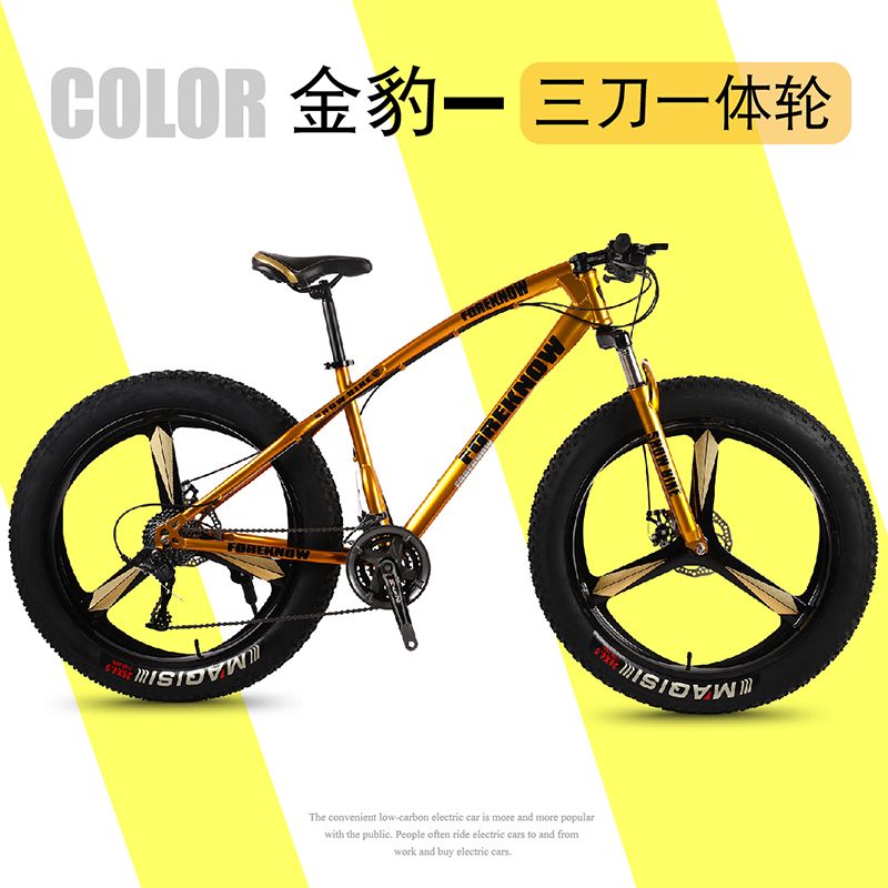카본 산악 MTB 바이크 팻 광폭 두꺼운강화 자전거 바퀴 타이어 : 오팔린1212