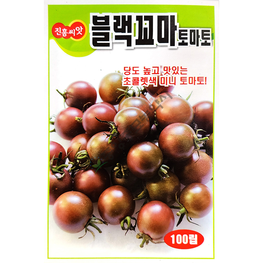 블랙꼬마 100립 25년 : 중앙종묘농약사