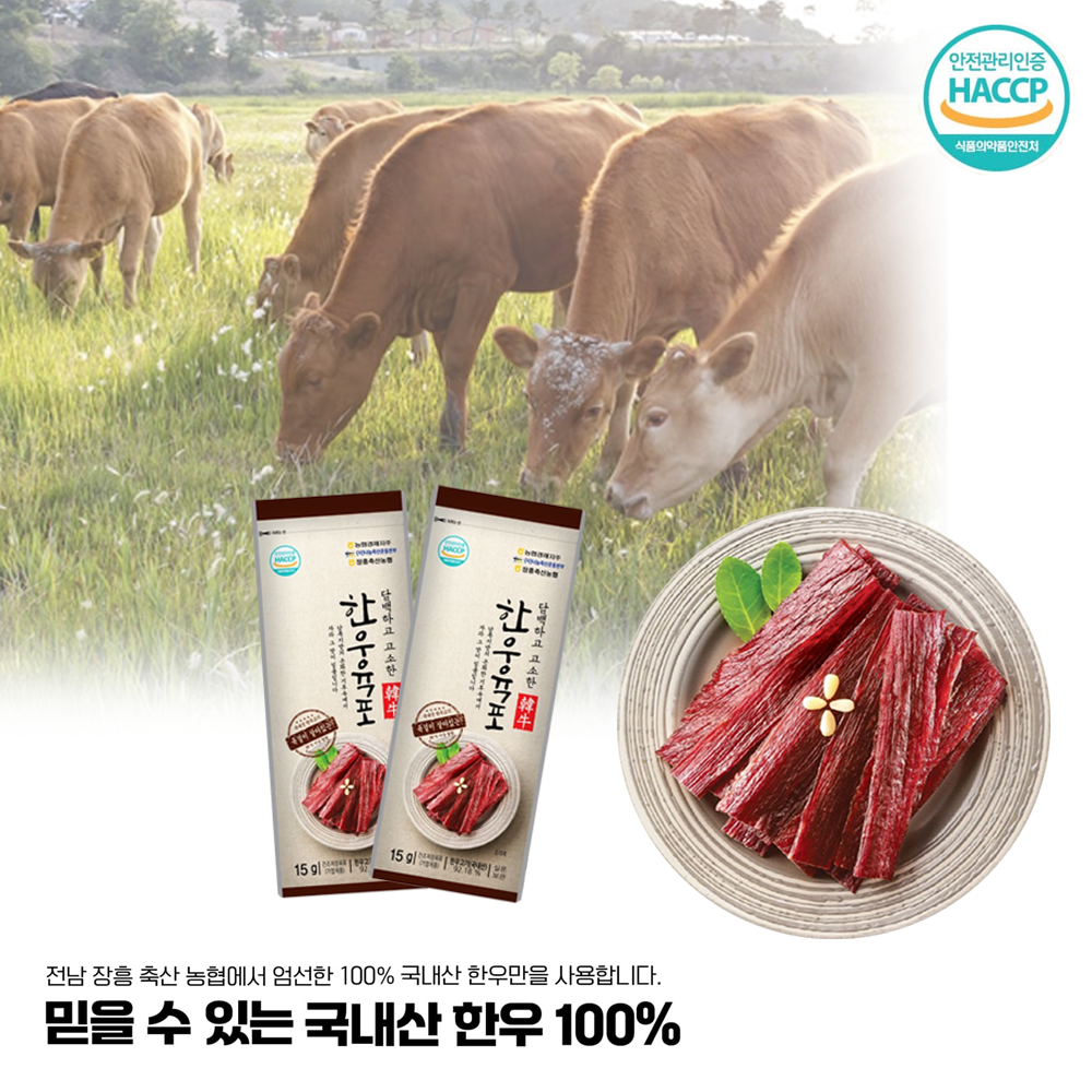 장흥 축산 국내산 100% 한우 육포 10g 10개 : 하람Storage