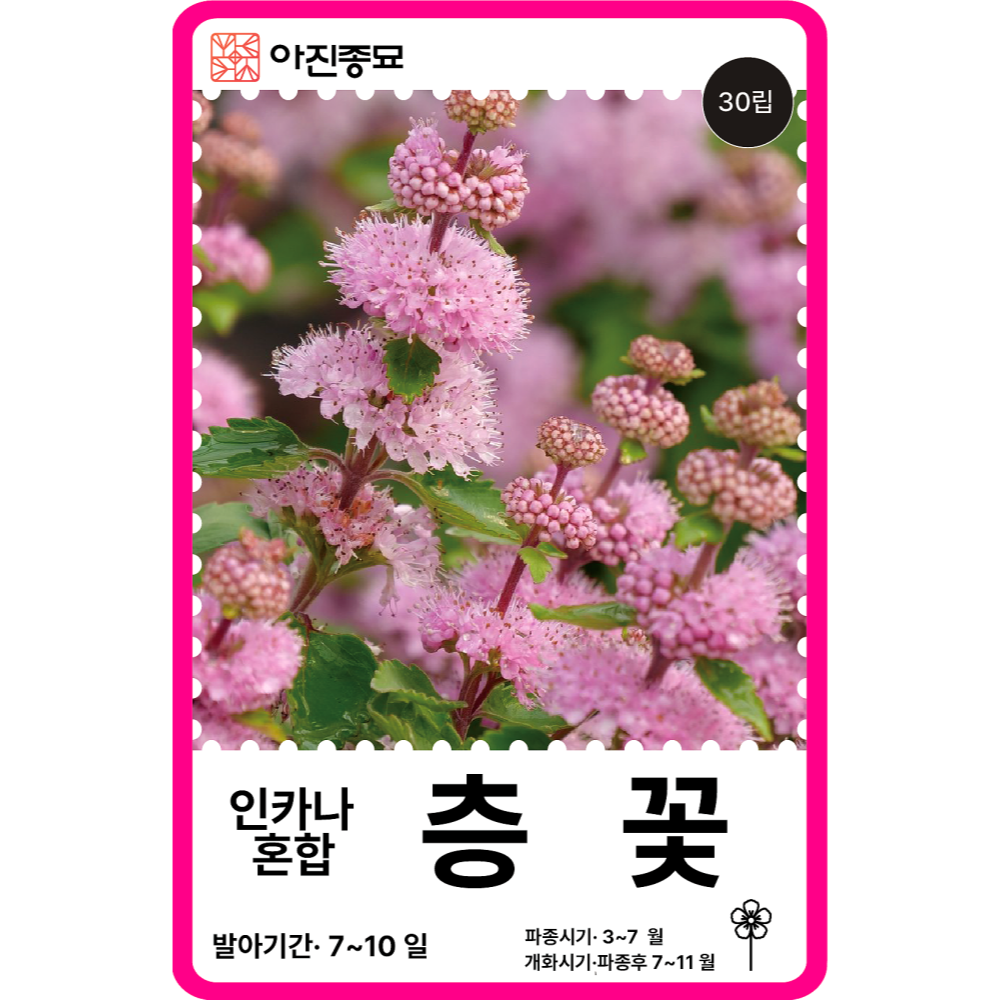 층꽃 씨앗 혼합 / 30립 층층이꽃 꽃씨 꽃씨몰 노지월동 야생화 봄꽃 종자 : 아진종묘 꽃씨몰