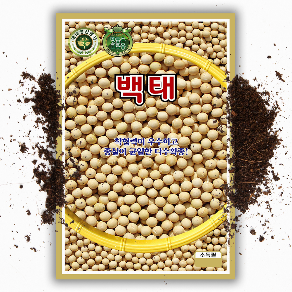백태콩씨앗 600g 국내산 메주콩 콩 씨앗 종자 대용량 : 씨앗팜