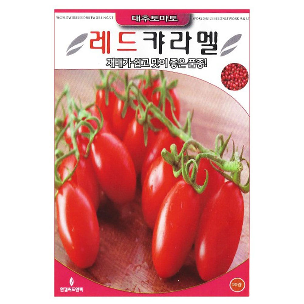 레드 대추토마토씨앗 방울토마토씨 20립 : 톺TOP