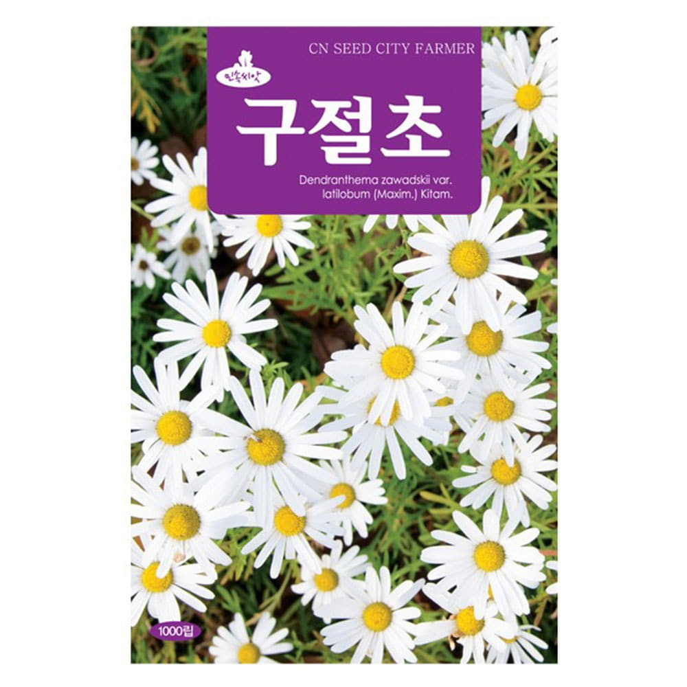 구절초 꽃씨앗 꽃씨 1000립 : 톺TOP