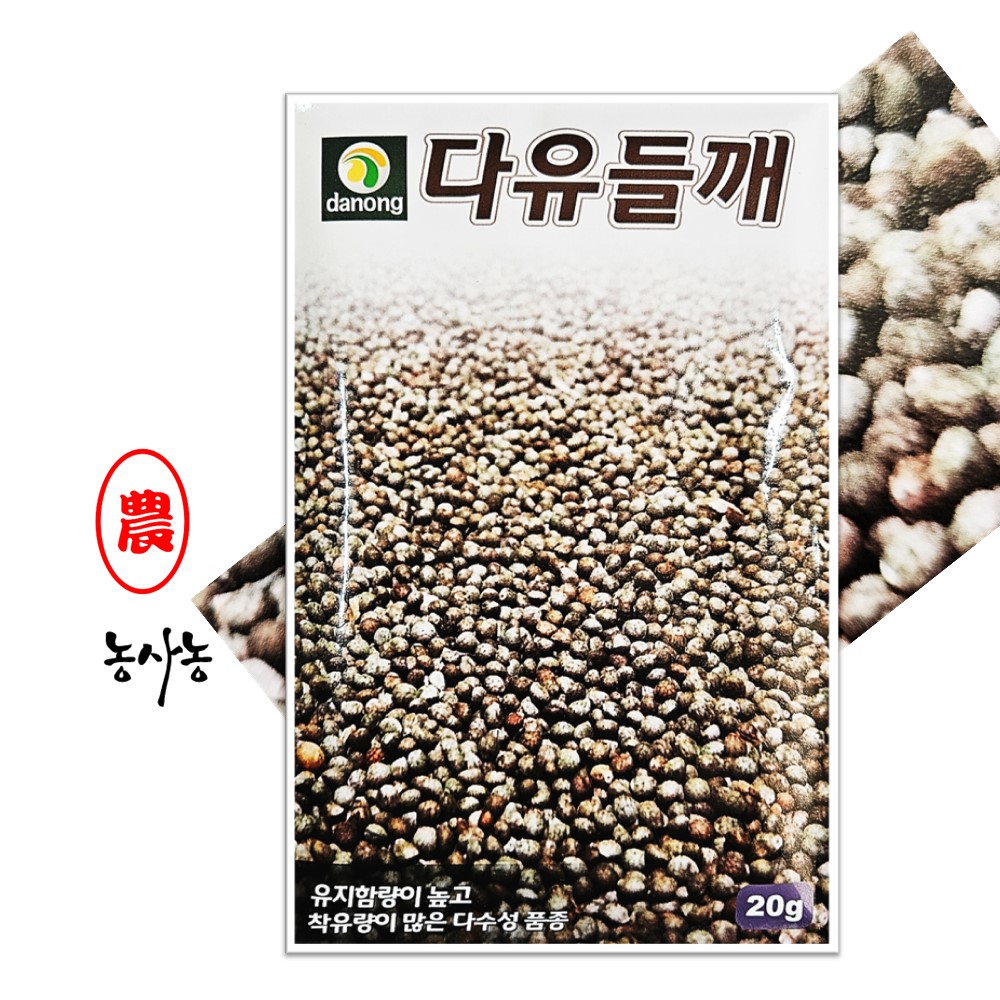 국산 들깨씨 들깻잎 들기름 종자 다유들깨 씨앗 20g : 농사농