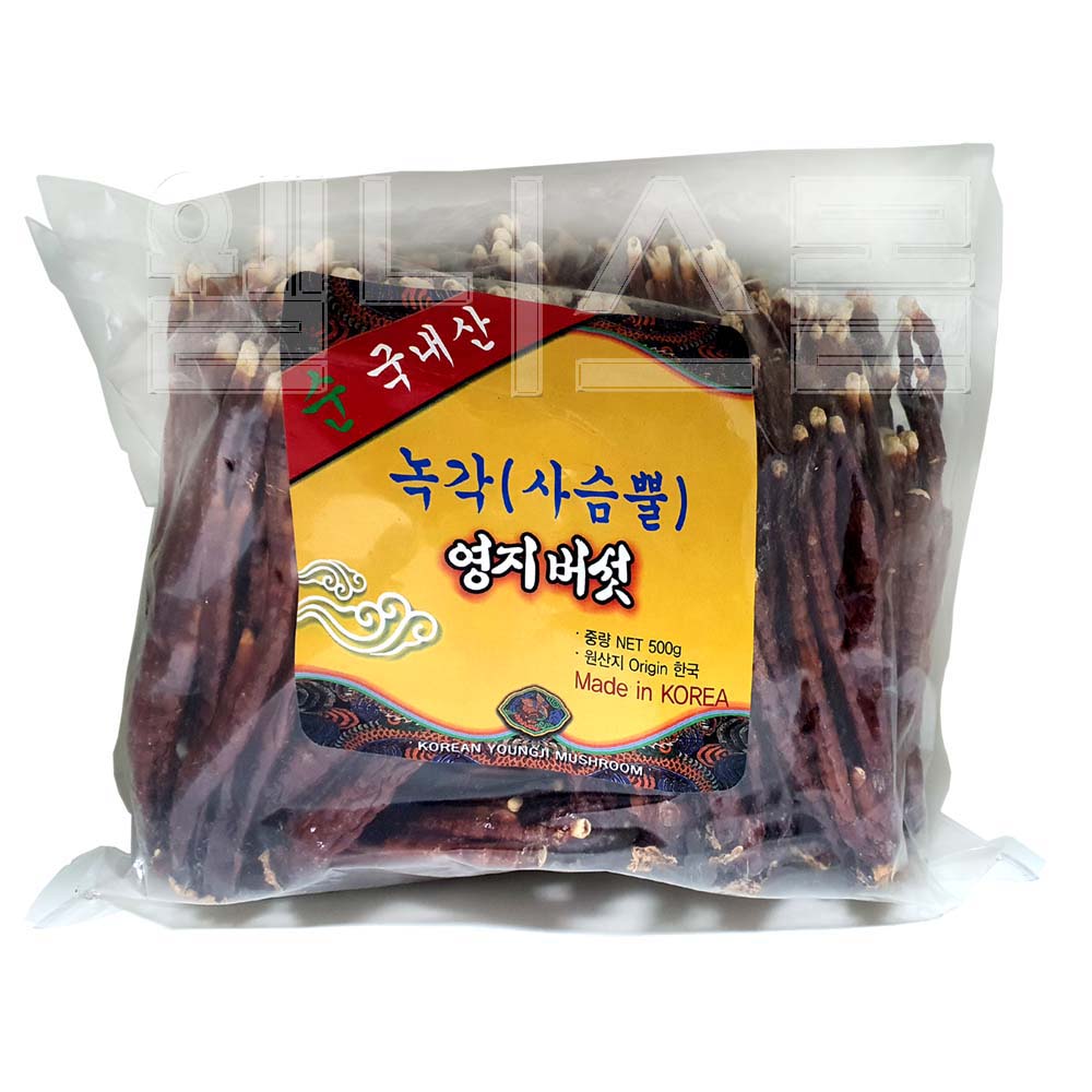 녹각영지버섯 원물 500g(순국내산) 사슴뿔 영지버섯 : 웰니스타운