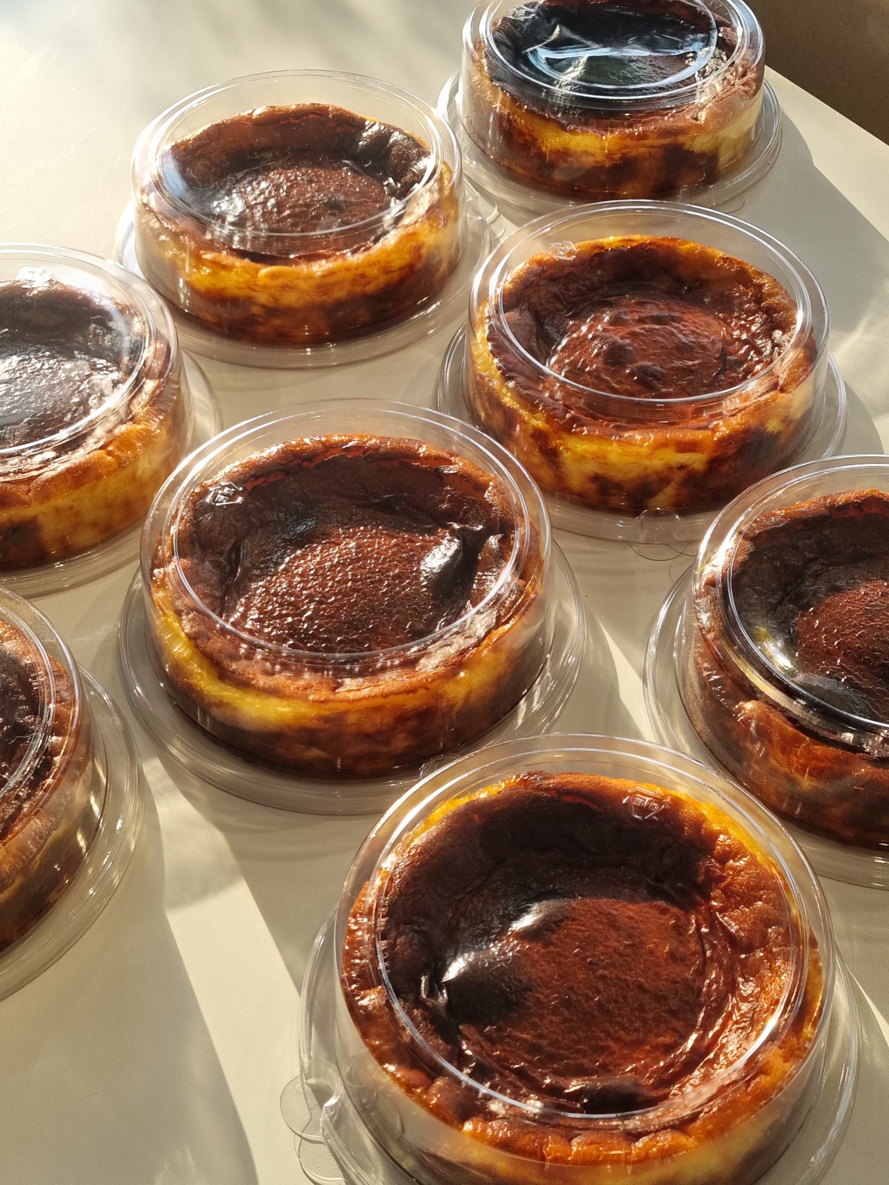슈가럼프 경기 애견맛집