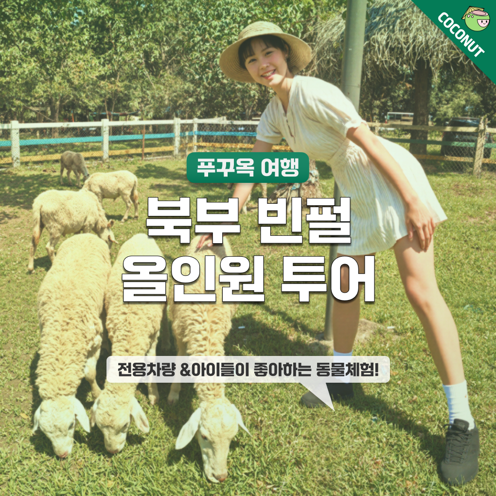 [QR+차량]푸꾸옥 북부 빈펄 올인원 렌트카 투어 사파리 빈원더스 그랜드월드 단독투어 : 코코넛 트레블