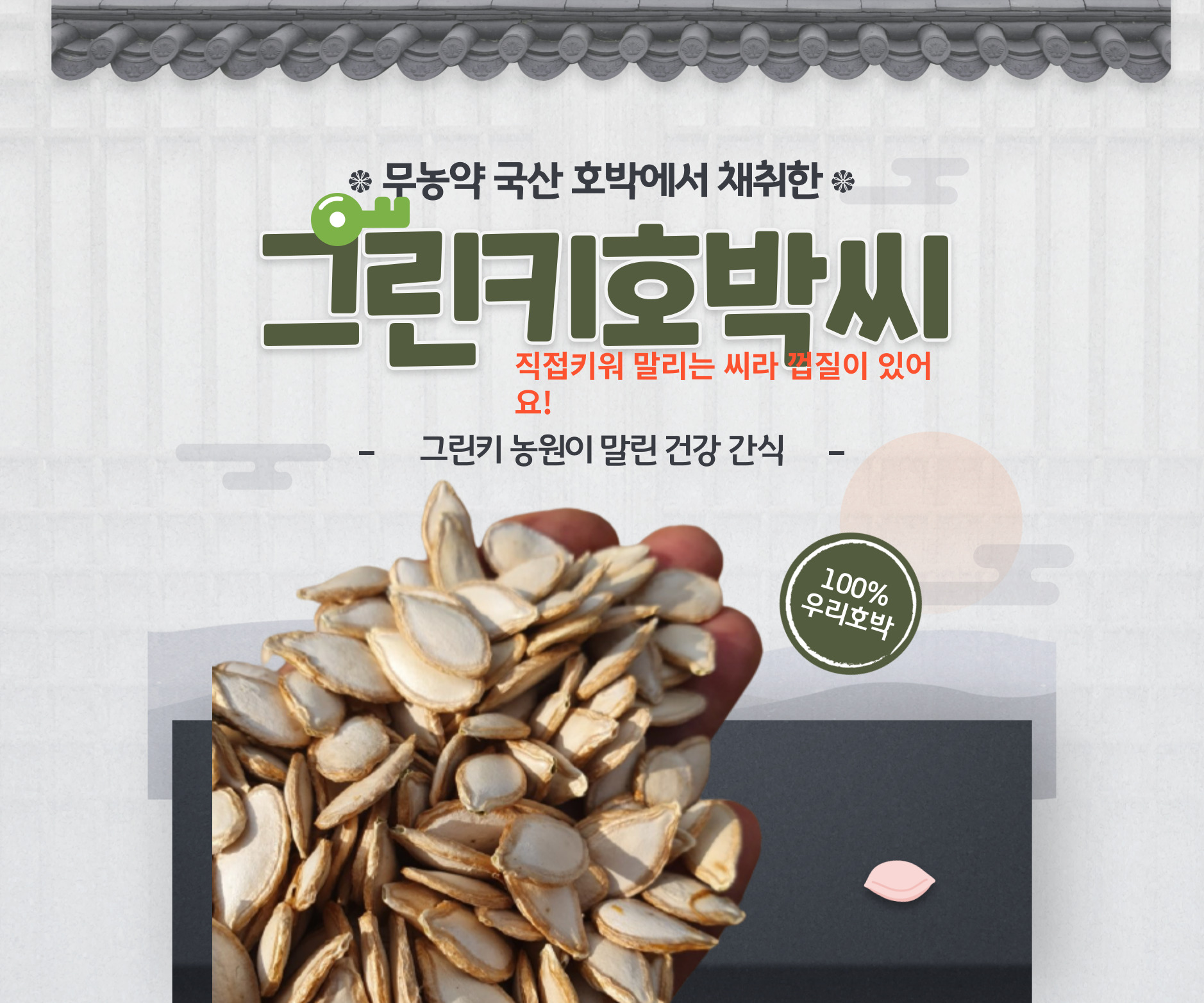 [그린키농원] 맷돌호박 종자용 호박씨 50립 : 농업회사법인 경북애그린키