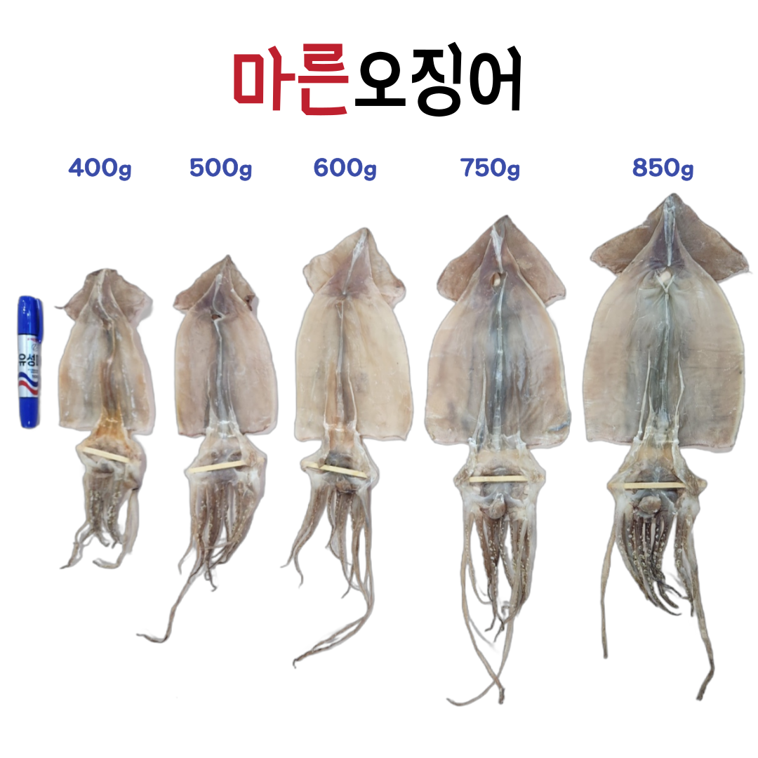 동해바다 마른오징어 해풍건조 구룡포 덕장 운영 건조오징어 10마리 : 용신유통 건어물