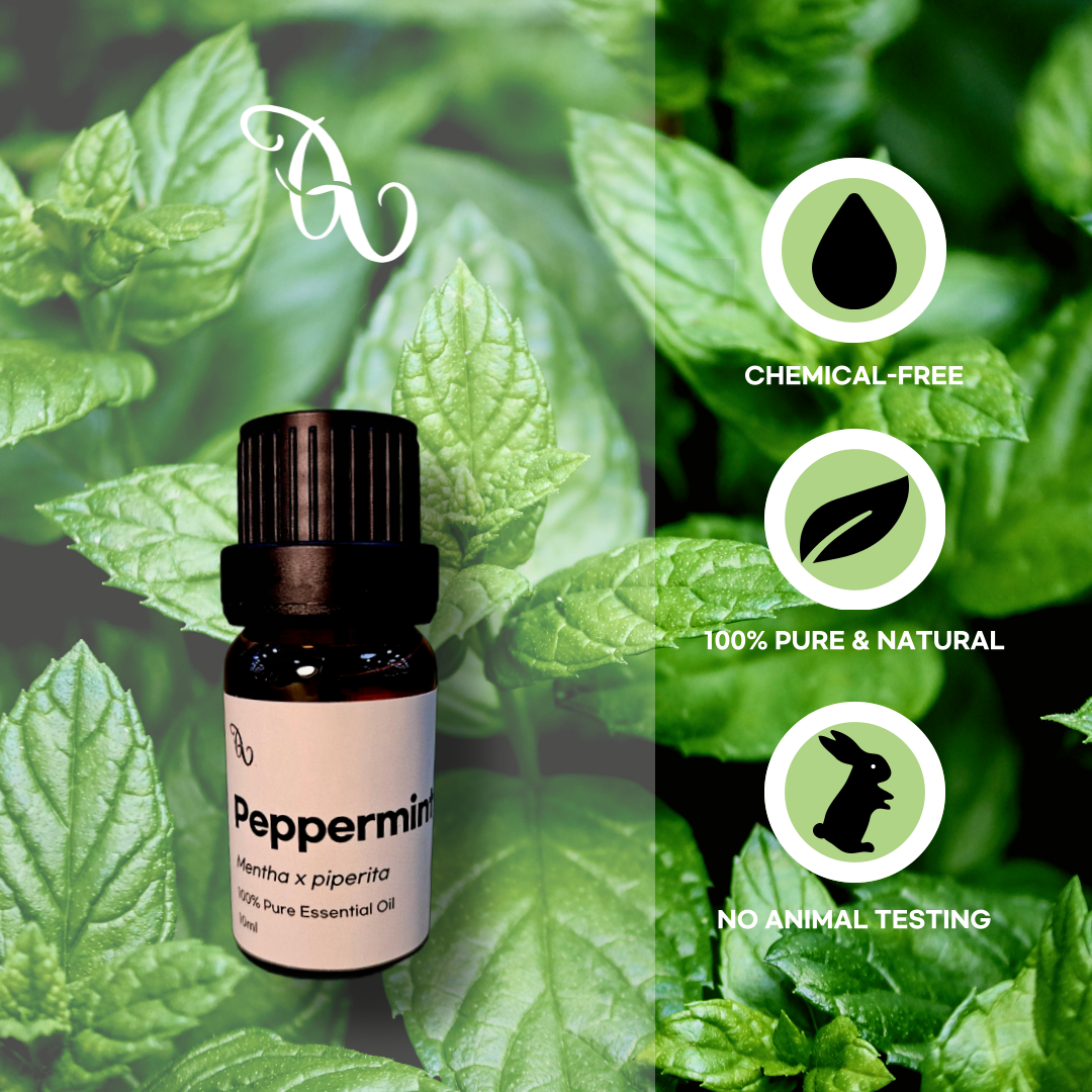 아로마테라피를위한 페퍼민트에센셜오일 10ml ( Peppermint Essential Oil / 페퍼민트아로마오일 ) - 셀아로마 : 셀아로마 - 아로마편집샵
