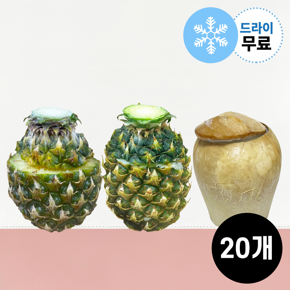 [지케이푸드] 파인애플 샤베트 파인 과일 역전할맥(구매수량별 5개까지 드라이무료) : 지케이푸드