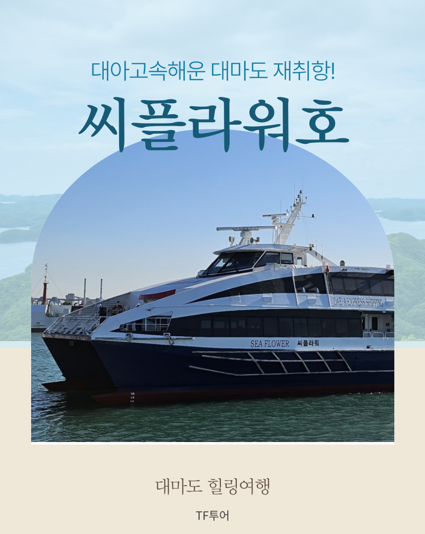 씨플라워호 대아고속 대마도 승선권 이즈하라 히타카츠 왕복 대마도배편 : 후쿠오카 선박여행
