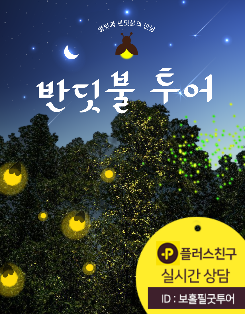 보홀 반딧불투어 자유여행 : 필굿투어