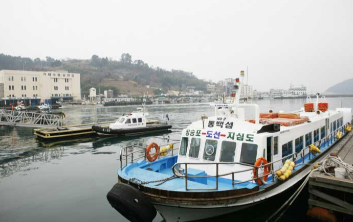 부산출발 [캔디투어] 거제도 지심도 동백꽃 당일여행 국내여행 버스투어 가볼만한곳 : 캔디투어