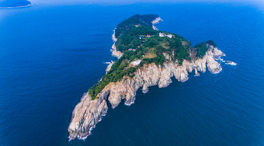 부산출발 [캔디투어] 거제도 지심도 동백꽃 당일여행 국내여행 버스투어 가볼만한곳 : 캔디투어
