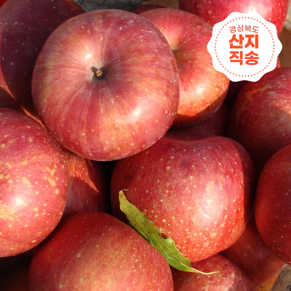 아삭달콤사과 경북 부사사과 가정용 햇 사과 소과 : 풋풋상회