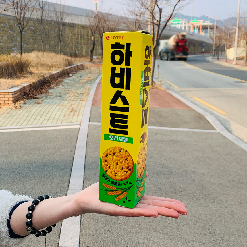 롯데 하비스트 오리지널 100g : 코코리빙마트