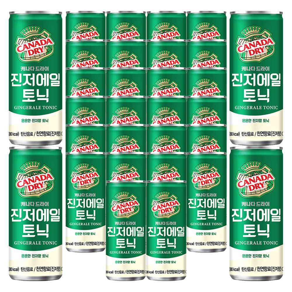 캐나다드라이 진저에일 250ml-30캔 하이볼 : 드링크올데이