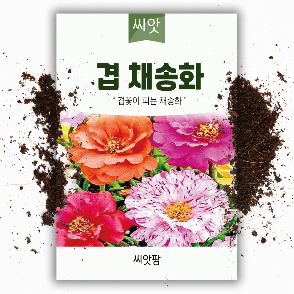 겹채송화 씨앗 1000립 1년생 채송화 꽃씨 야생화 꽃씨앗 : 씨앗팜