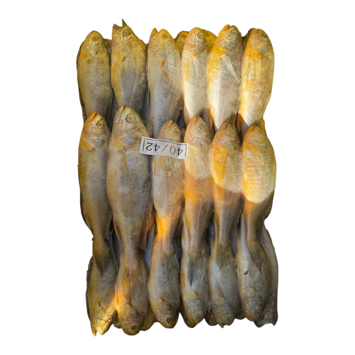 봉화 냉동참조기 200/300 40-42미 3.4Kg : 수산온마켓