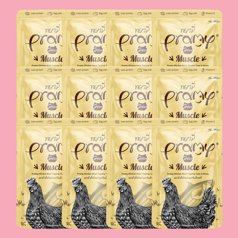 프라미 파우치 고양이 습식 간식 치킨참치 그레이비, 70g, 12개 : 전국구고양이