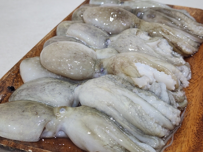 대왕 선동 활 쭈꾸미 1kg : 수산물 사장님