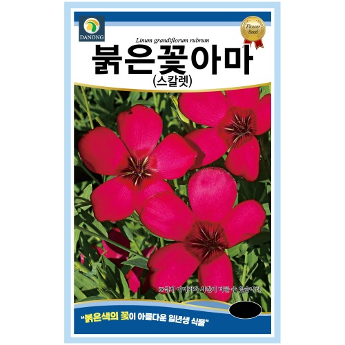 붉은꽃아마(스칼렛) 1g 꽃씨 일년생 씨앗 봄 여름 가을 야생화 다농 농사마트 : 농사마트