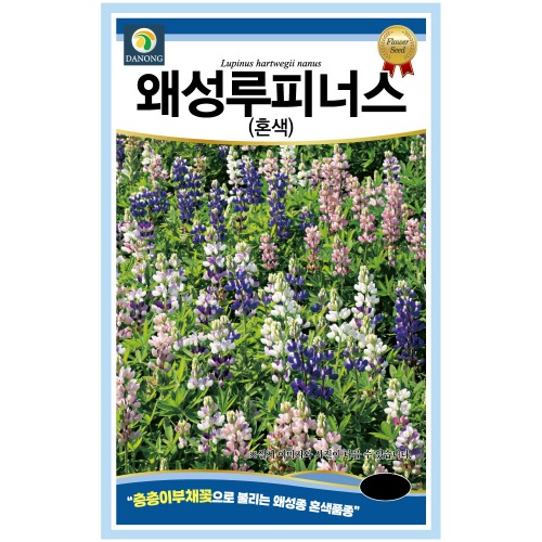 왜성루피너스(혼색) 1g 꽃씨 일년생 씨앗 봄 여름 가을 야생화 다농 농사마트 : 농사마트