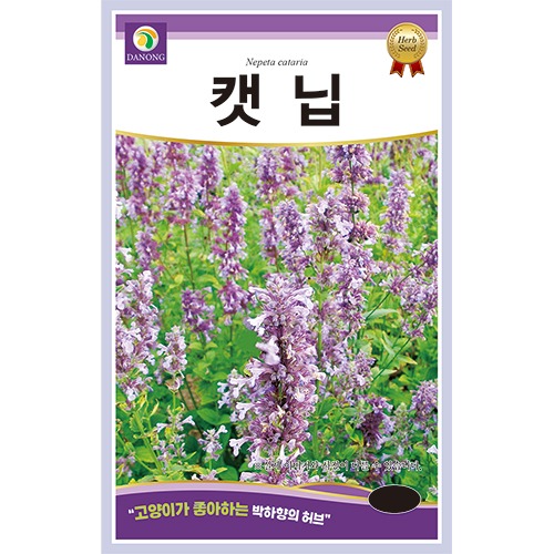 캣닙 1g 개박하 허브 꽃씨 다년생 씨앗 봄 여름 가을 야생화 다농 농사마트 : 농사마트