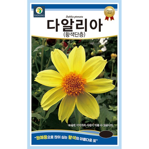 다알리아 황색단층 100립 꽃씨 다년생 씨앗 봄 여름 가을 야생화 다농 농사마트 : 농사마트