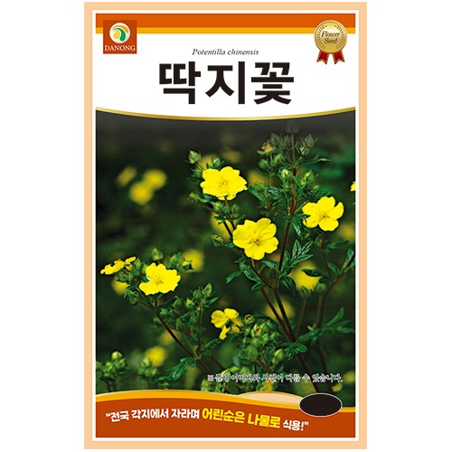 딱지꽃 1.5g 꽃씨 다년생 씨앗 봄 여름 가을 야생화 다농 농사마트 : 농사마트