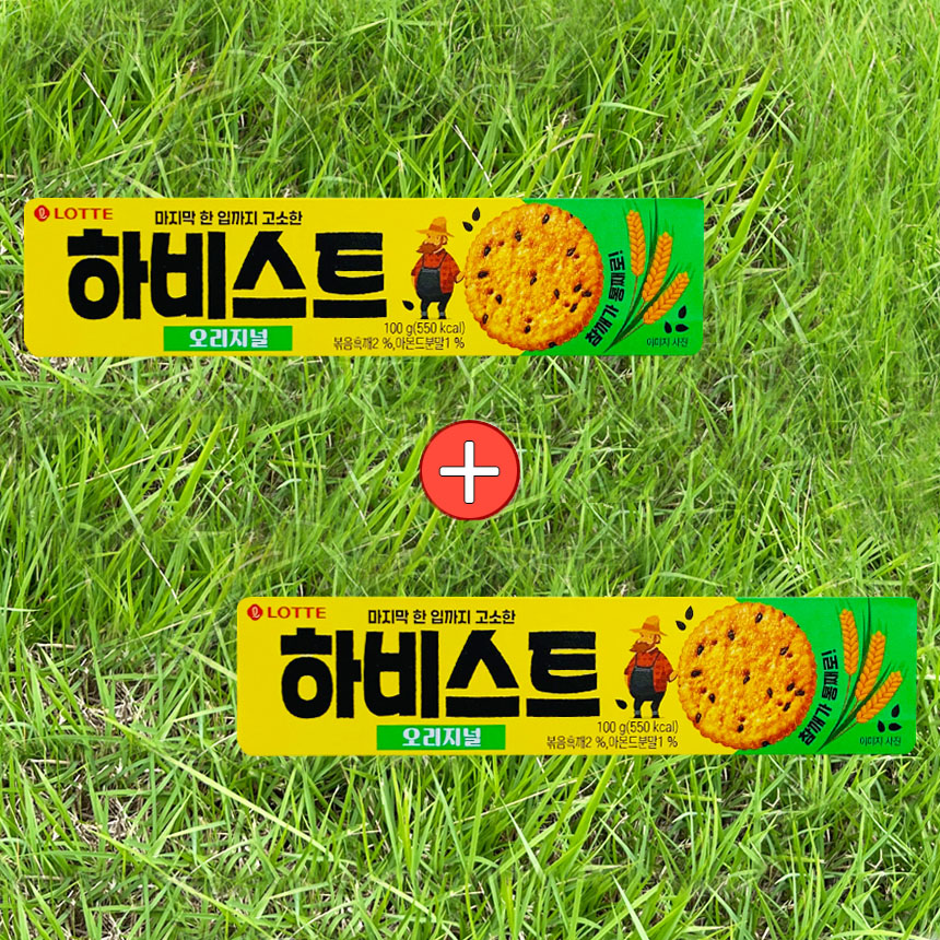 롯데 하비스트 오리지널 100g 2개 : 슬기로운행복마트
